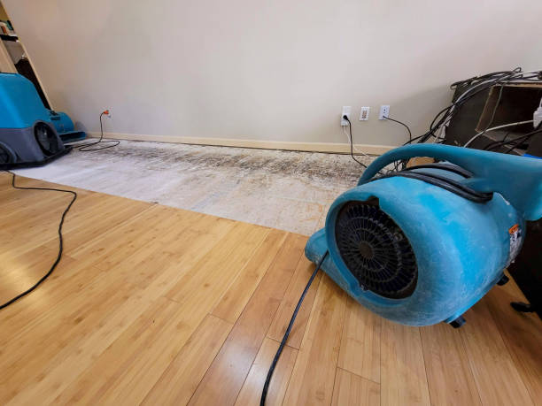 Professional Structural Drying technician working in Desdemona, TX